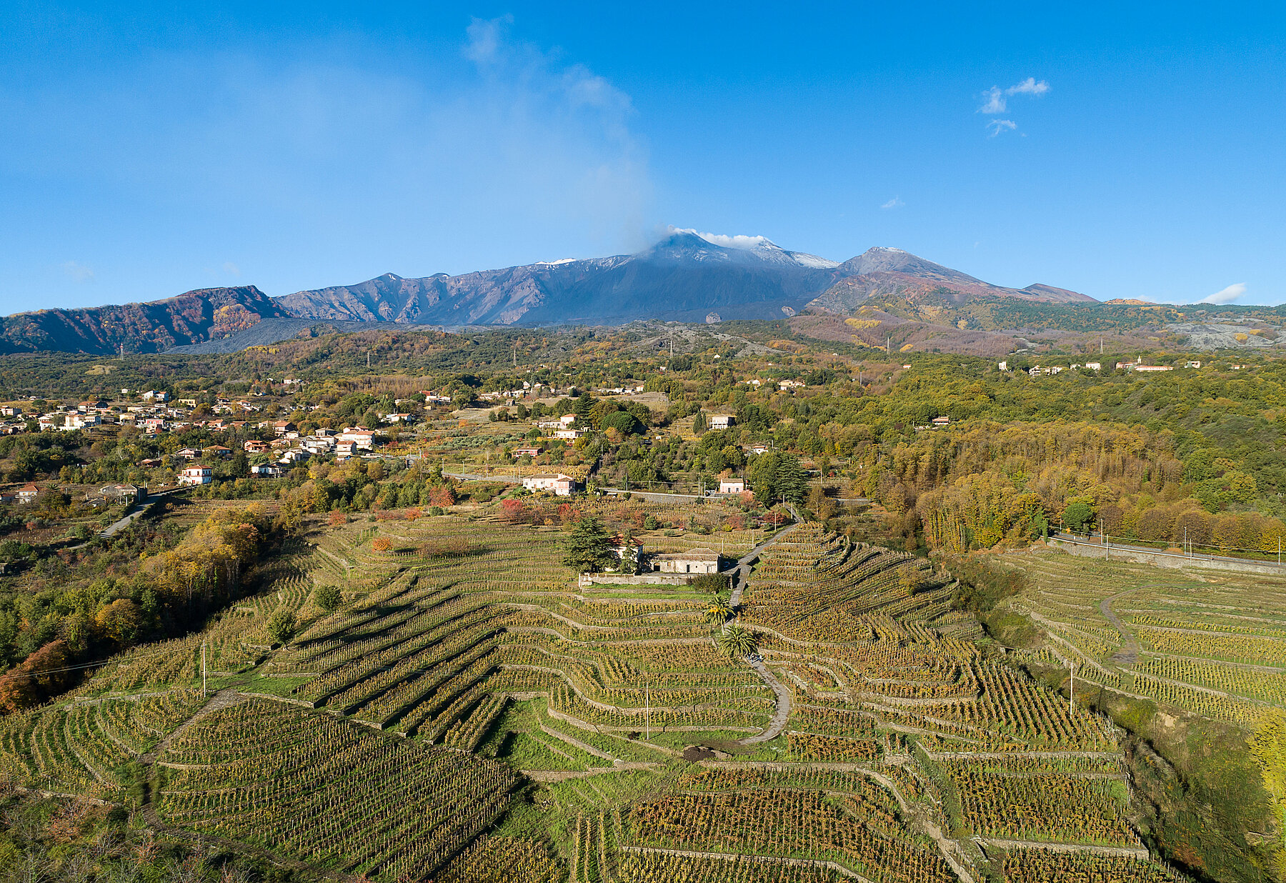 So vielfältig wie die kontrastreichen Landschaften und kulturellen Einflüsse der Insel, so facettenreich zeigen sich auch die Weine.
