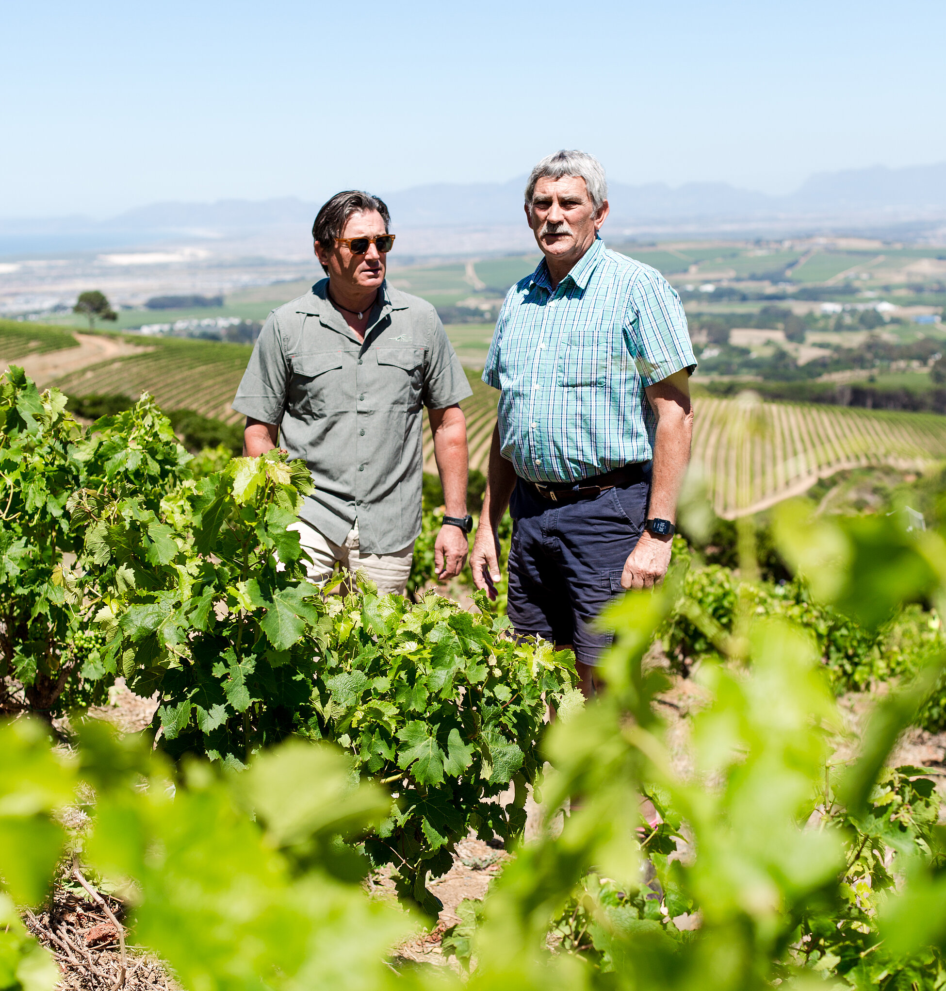 André Smit ist seit Dezember 2018 der verantwortliche Weinbauleiter (Viticulturist) bei Taaibosch. Er arbeitet eng mit dem Kellermeister Schalk-Willem Joubert zusammen, um die Weinberge nachhaltig zu bewirtschaften.