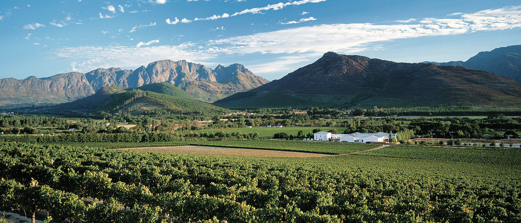 Franschhoek – oft als das „food & wine capital“ Südafrikas bezeichnet – ist ein malerisches Tal in Western Cape, das von französischen Hugenotten im Jahr 1688 gegründet wurde. Wein und Genuss prägen hier Kultur, Landschaft und Identität. Franschhoek – oft als das „food & wine capital“ Südafrikas bezeichnet – ist ein malerisches Tal in Western Cape, das von französischen Hugenotten im Jahr 1688 gegründet wurde. Wein und Genuss prägen hier Kultur, Landschaft und Identität.