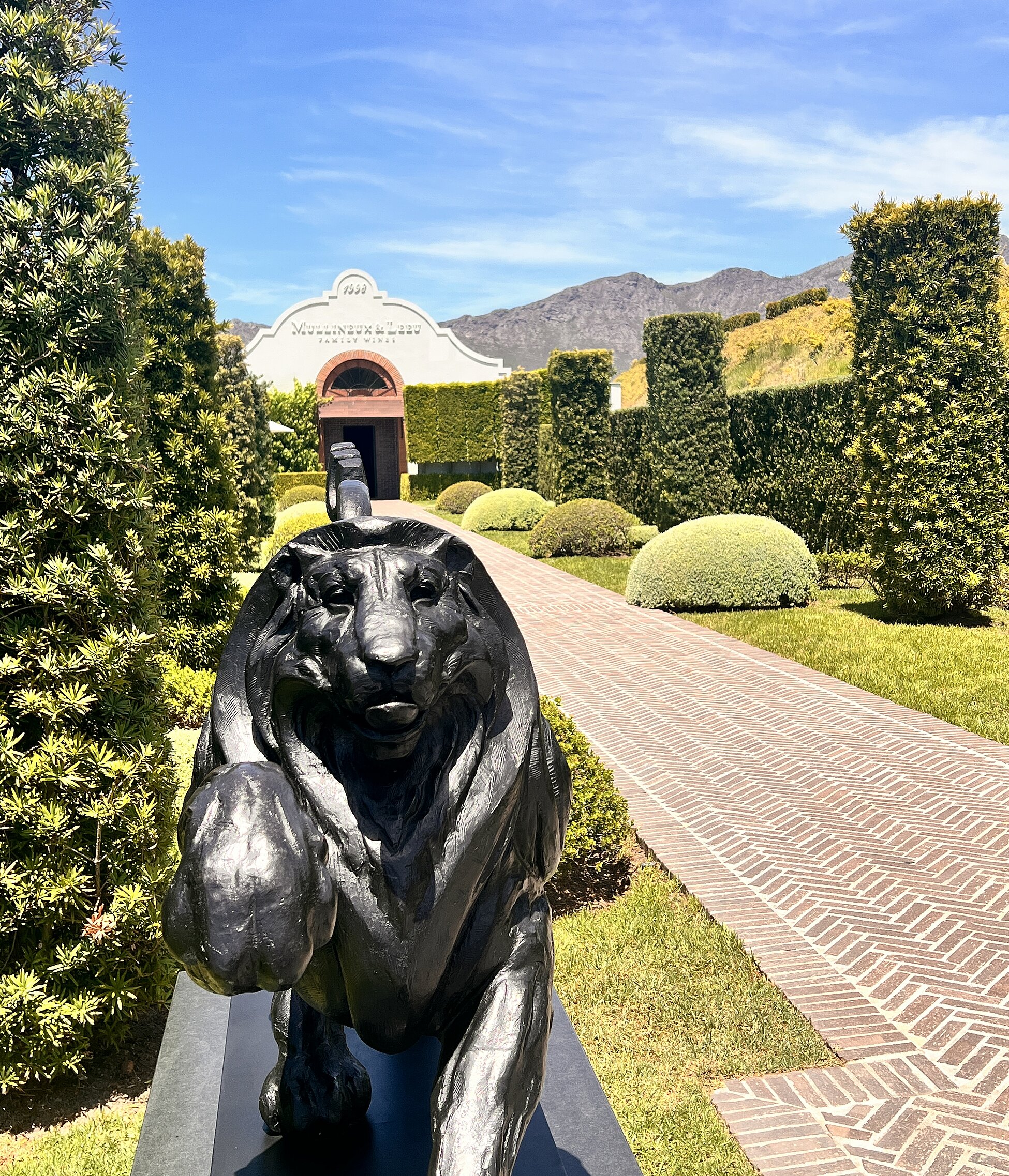 Das Weingut Mullineux befindet sich auf der Roundstone Farm im westlichen Swartland, zwischen Malmesbury und Riebeek Kasteel. 