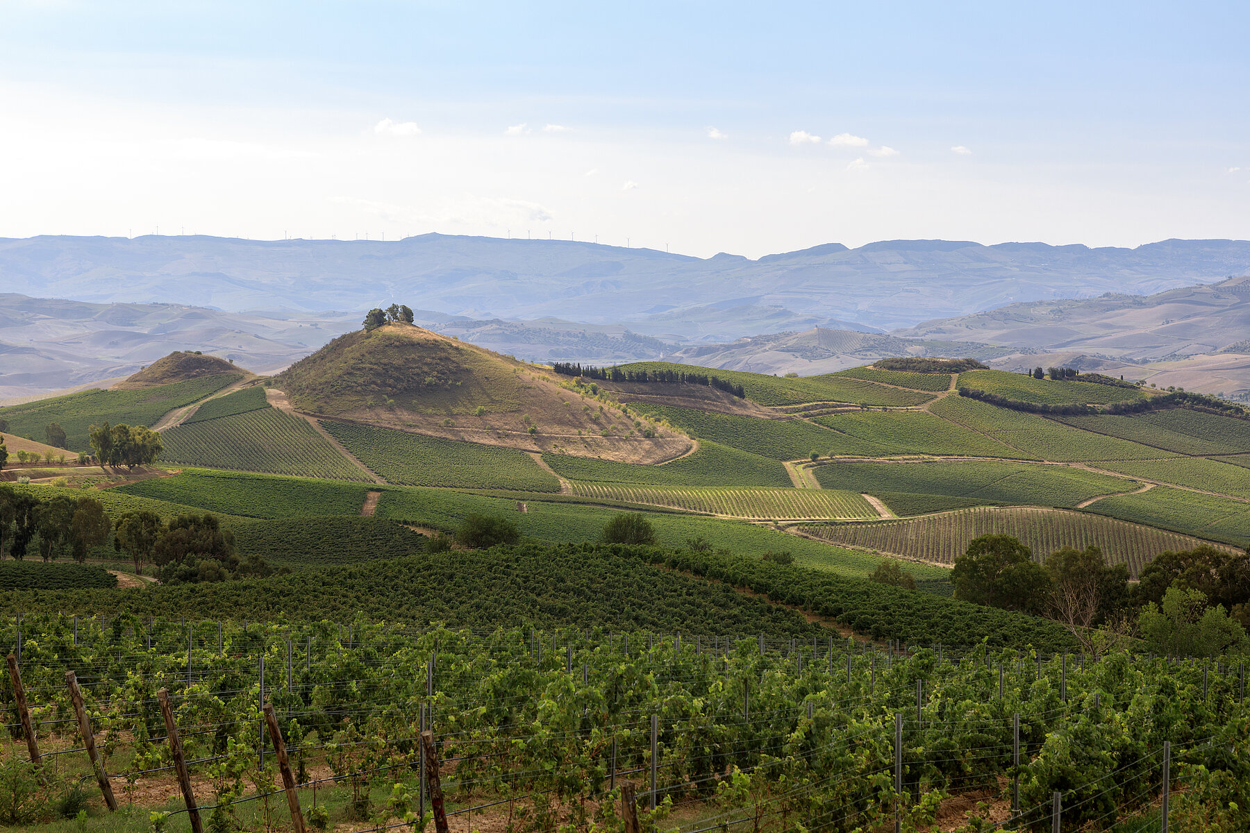 Wo früher noch Weinberge gerodet wurden, sind die Top-Lagen heute begehrt wie nie zuvor und erreichen astronomische Preise. 
