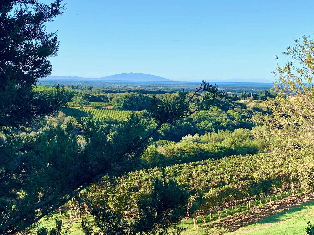 Das Relais di Biserno bietet einen wunderbaren Blick auf die Küste, die Weinberge und auf die berühmte Zypressenallee.